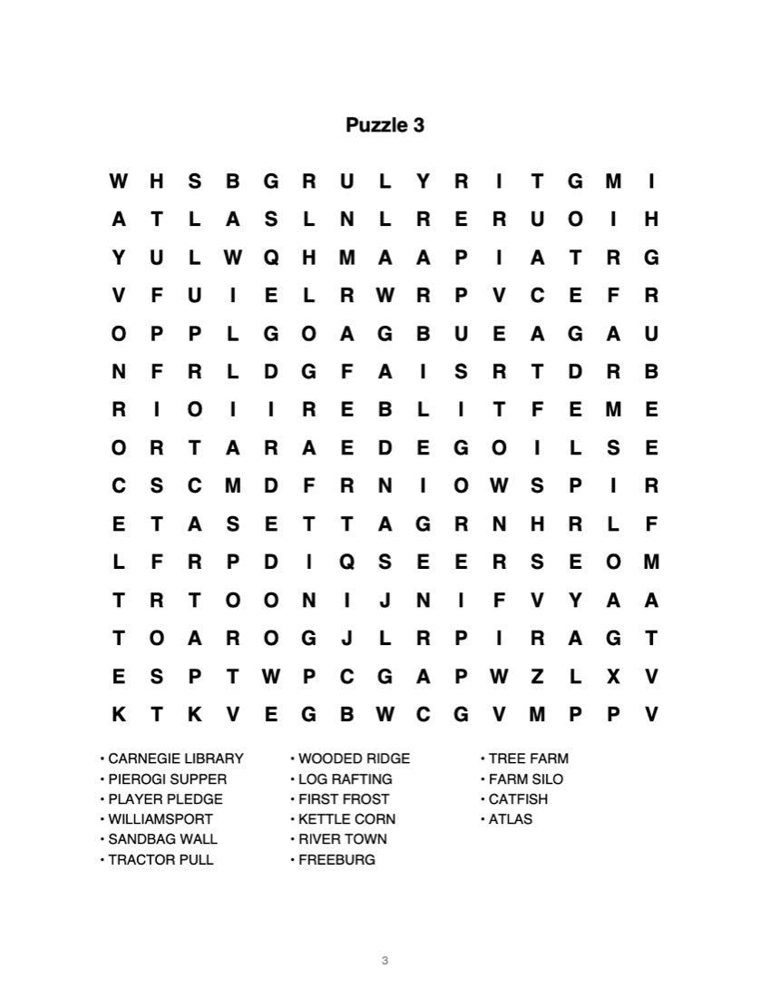 A printed puzzle page from the Susquehanna Valley word search book, with a 15 by 15 grid and a list of local words